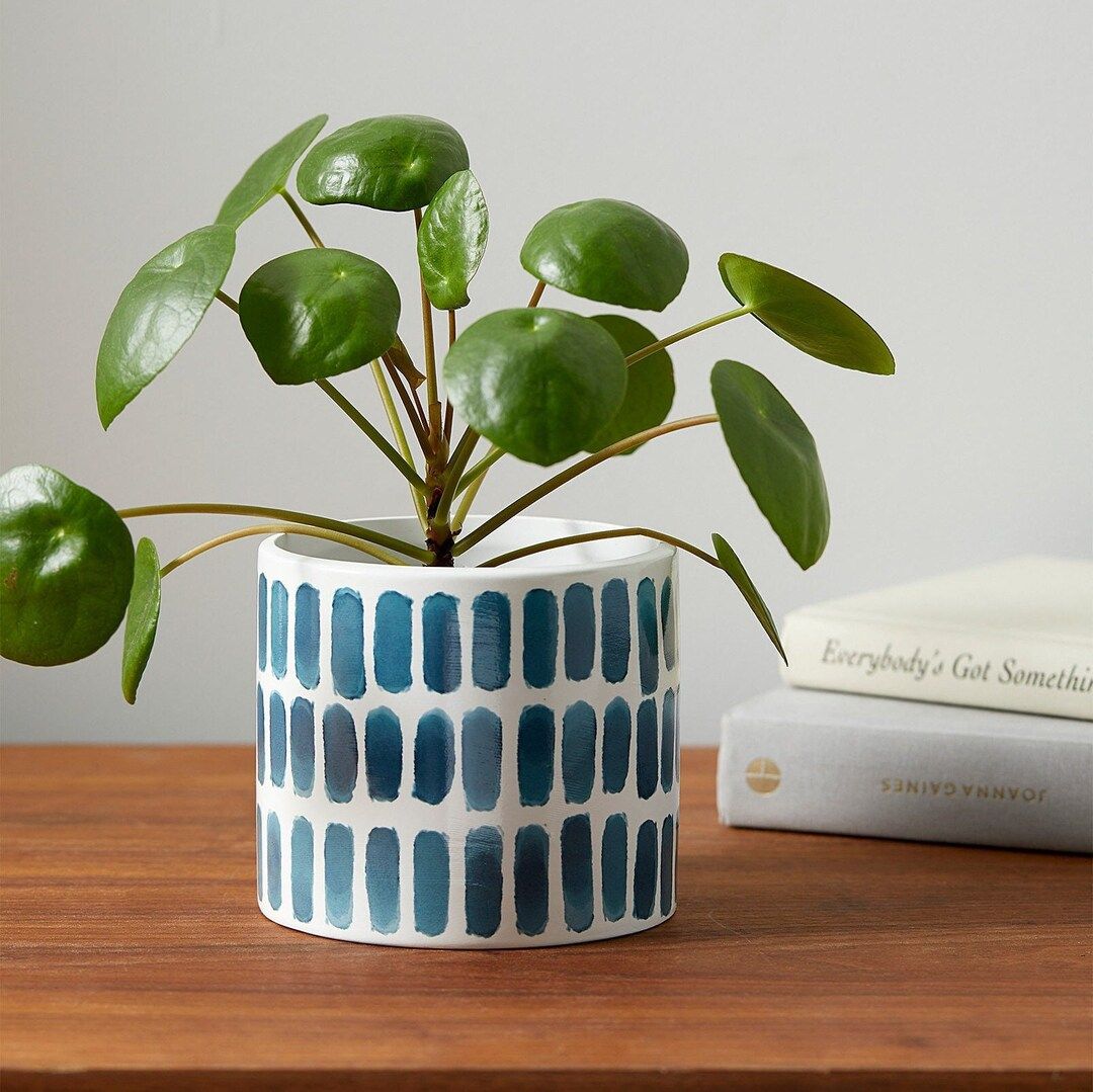 Turquoise Blue Accent Planter Pot | Minimalist Planter| Ceramic Planter | Succulent Pots | Pots f... | Etsy (US)
