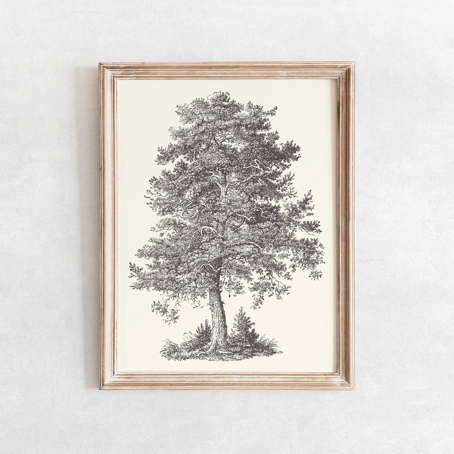 Scotch Pine Tree Sketch Print Vintage Farmhouse Drawing - Etsy | Etsy (US)