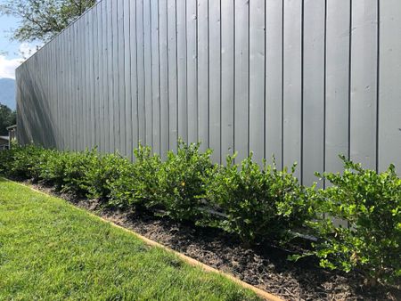Boxwood shrubs make such a lovely low hedge when landscaping your space. This variety is Winter Gem, and it doesn’t bronze too much in colder climates 🥶

#LTKhome