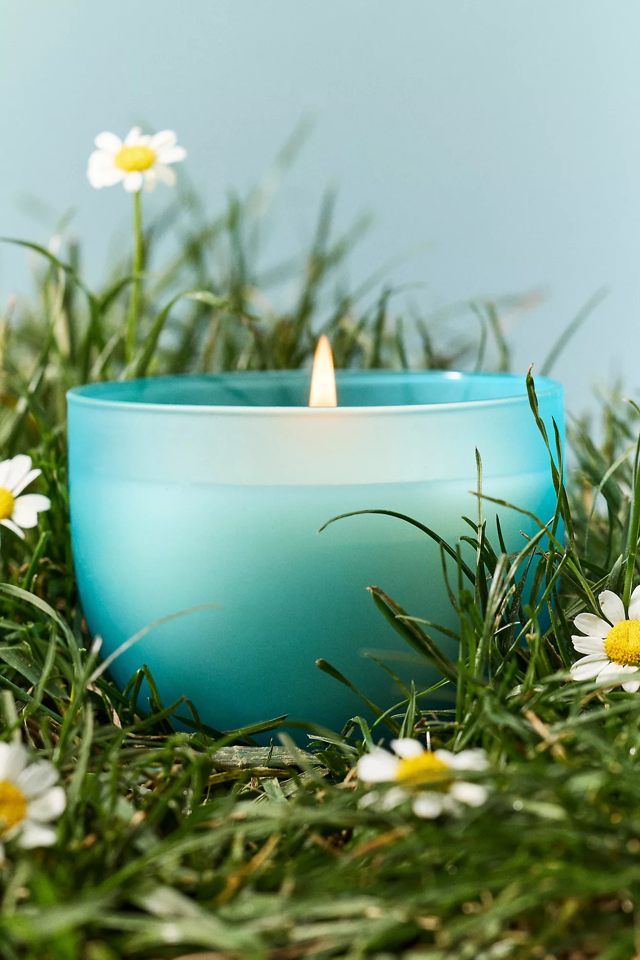 Romy Clover Floral Fresh Grass & Hyacinth Glass Lidded Candle | Anthropologie (US)