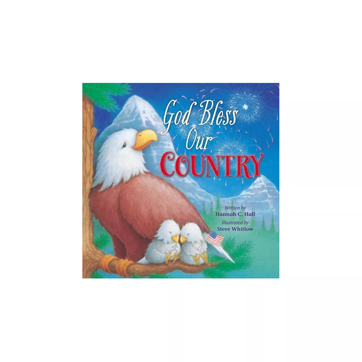 God Bless Our Country - (God Bless Book) by  Hannah Hall (Board Book) | Target