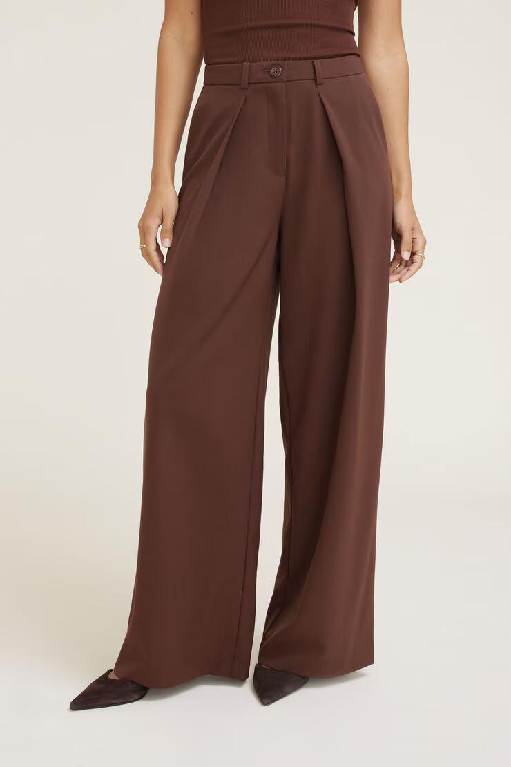 Pleated Wide Leg Pants | Dynamite Clothing