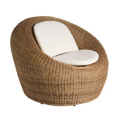 Sea Pod Swivel Chair | Wayfair North America