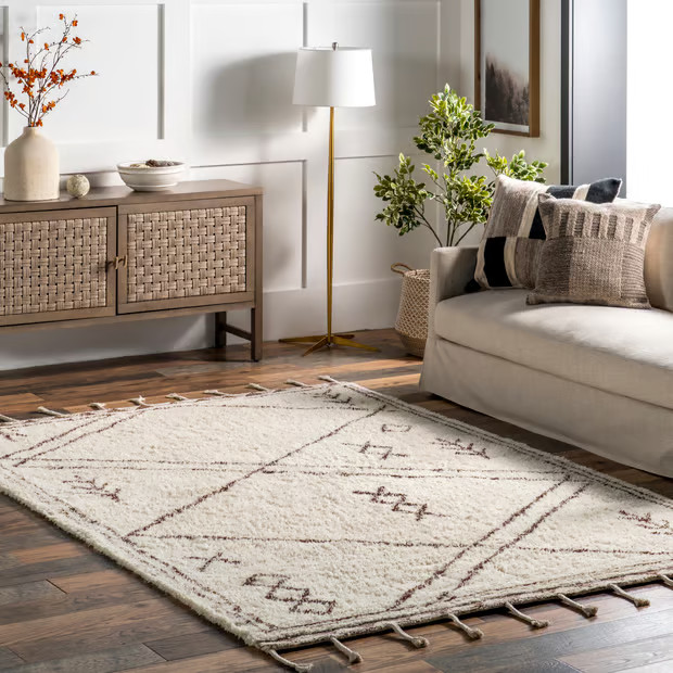 Beige Shaggy Modern Trellis With Tassels Area Rug | Rugs USA