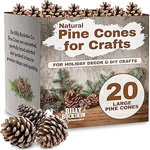 20 Large Natural Pine Cones for Crafts, 3" to 4" Tall Pine Cones Craft for Table, Home Decor, Vas... | Amazon (US)
