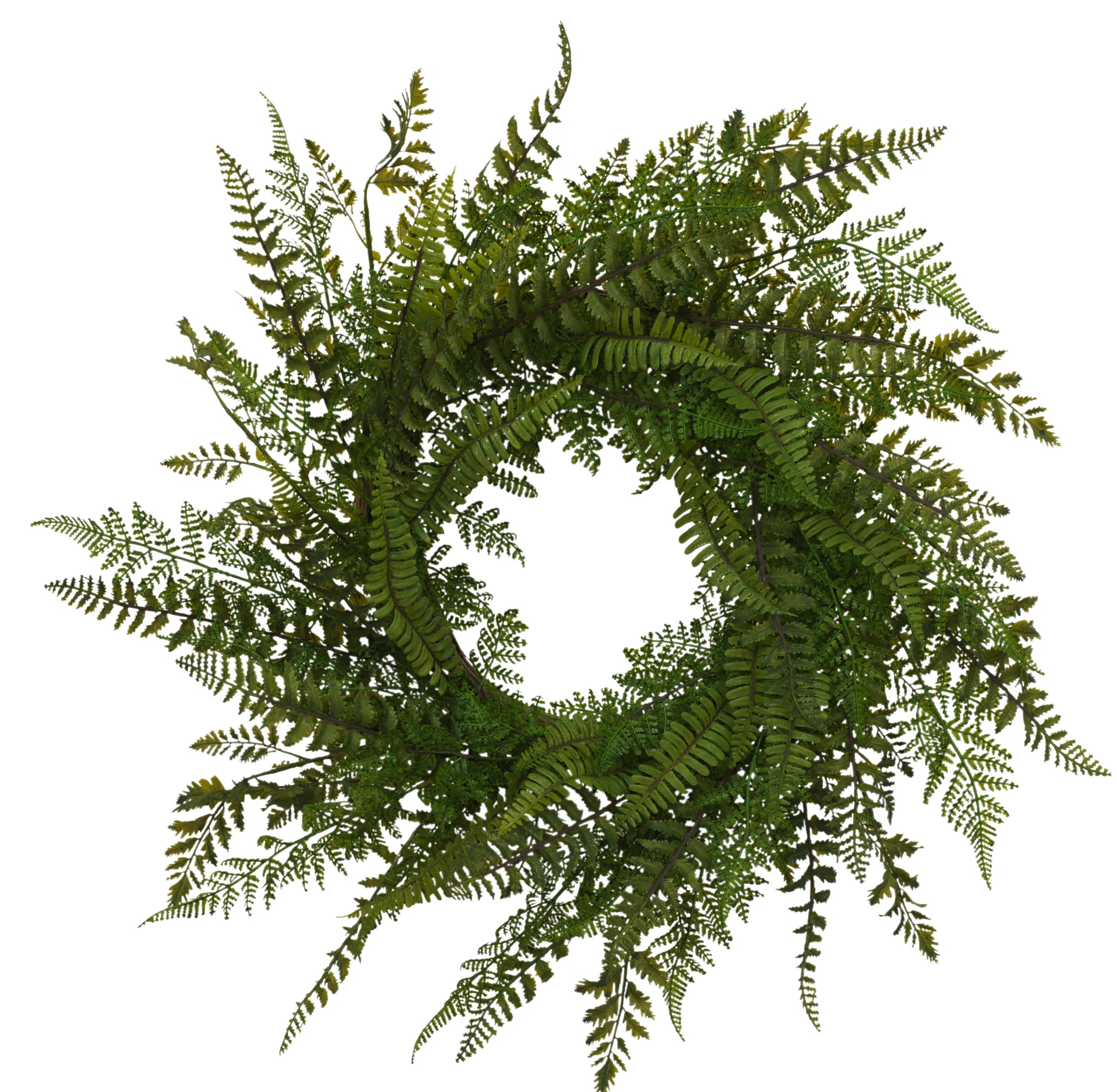 Rosalind Wheeler 26" Fern Polyethylene Wreath | Wayfair | Wayfair North America