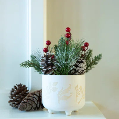 Xmas Mix in Berries Ceramic Footed Pot | Wayfair North America
