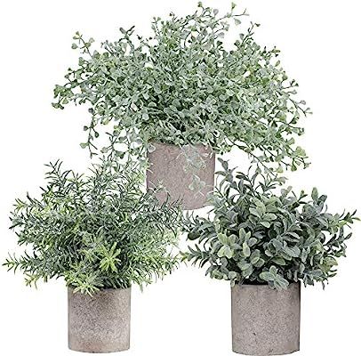 Winlyn Mini Potted Plants Artificial Flocked Eucalyptus Boxwood Rosemary Greenery in Pots Faux Po... | Amazon (US)