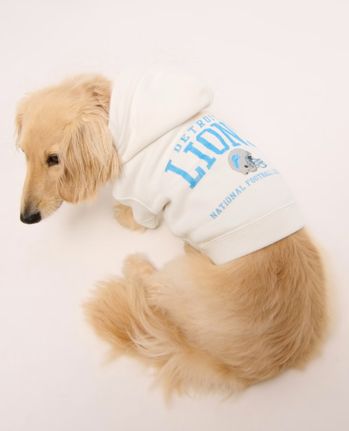 Game day, but make it matching 🐶🏈 The Abercrombie NFL Pet Pupover Hoodie is crafted from soft fleece with a NFL–inspired graphic, designed to keep your pup warm, cozy, and full of team spirit.

Perfect for matching with the whole family’s NFL gear this season — because even pets deserve to cheer on the team in style.

#AbercrombieStyle #NFLPets #DetroitLions #GameDayStyle #PupStyle #CozyPets #LTKstyle #LTKfashion 

 #LTKSeasonal #LTKSaleAlert #LTKStyleTip