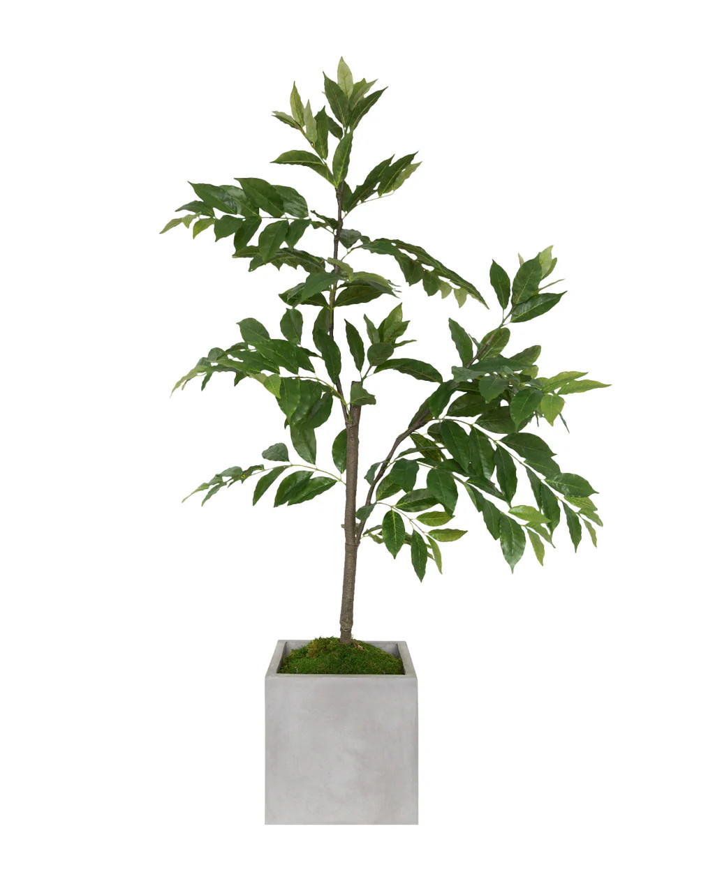 Faux Nandina Tree | McGee & Co.
