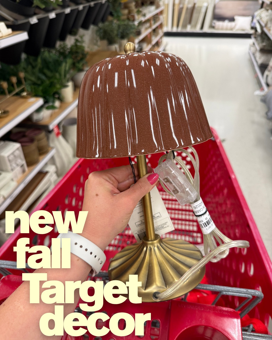New fall decor at Target 🍁🍂

@Target 
#falldecor #hearthandhand #fall #target #targetfinds

#LTKdayinmylife #LTKHome #LTKSeasonal