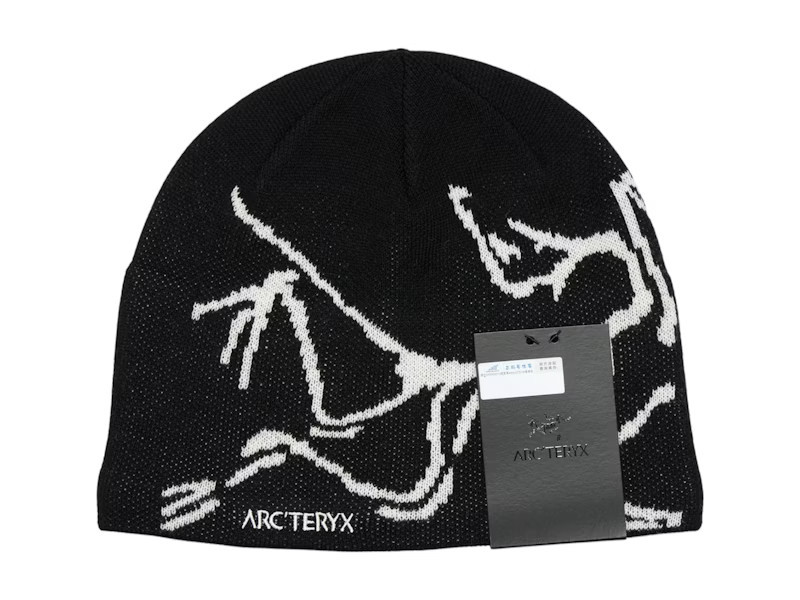 Arc'teryx Bird Head Toque in Orca | StockX
