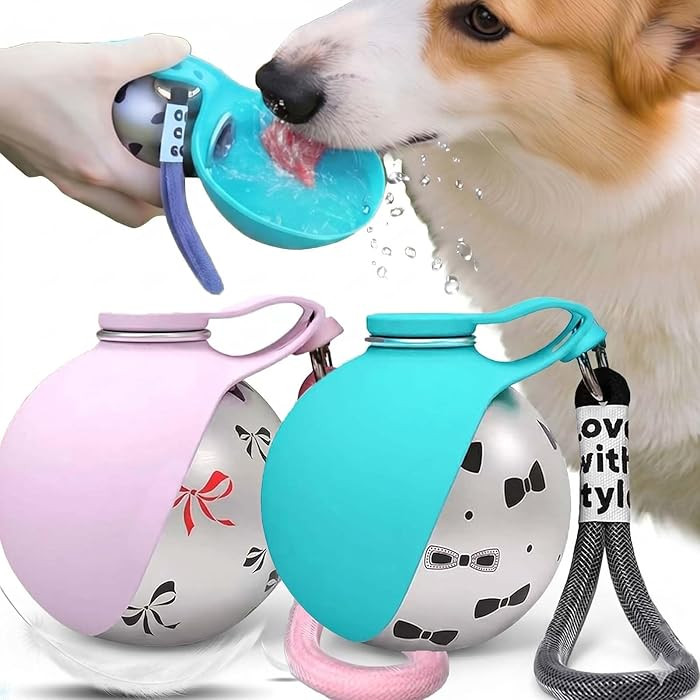 2026 New 2 in 1 Portable Dog Water Bottle for Walking - 10oz Stainless Steel Dog Travel Water Bot... | Amazon (US)