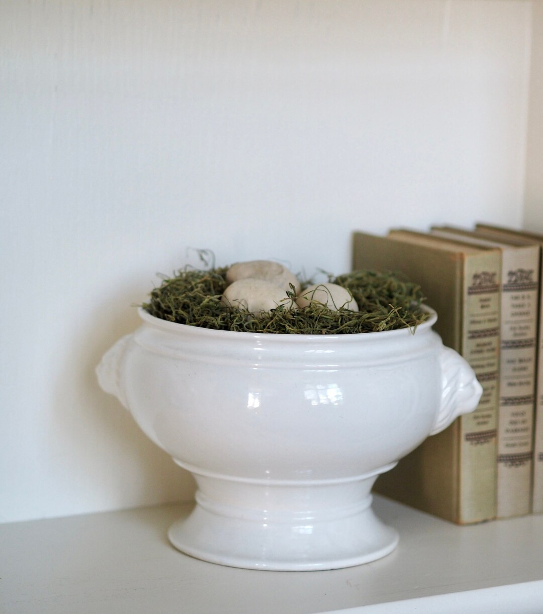 Large White Ceramic Lion Head Soup Tureen Bowl | Etsy (US)