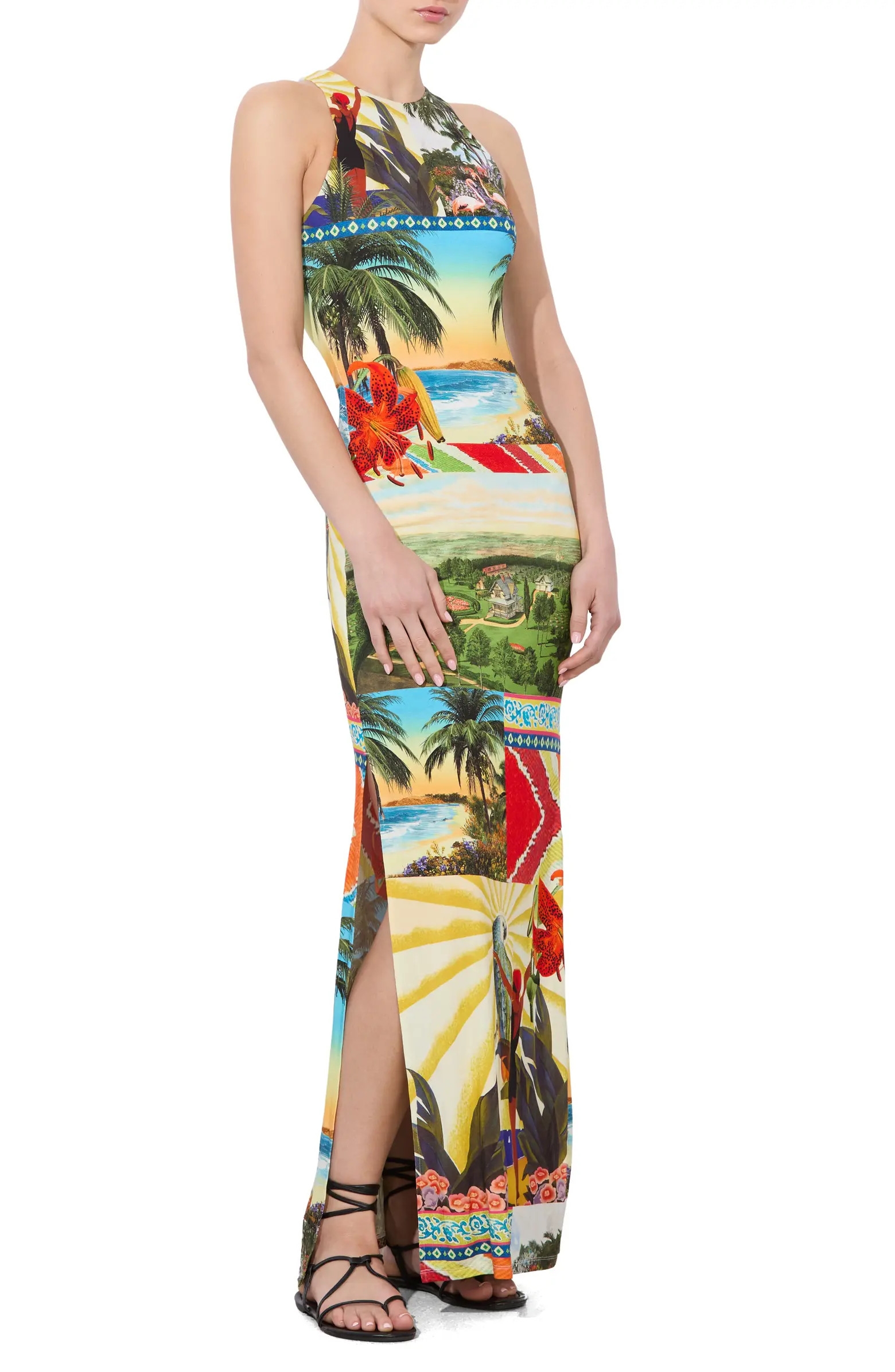 Alice + Olivia Pania Print Sleeveless Maxi Dress | Nordstrom | Nordstrom