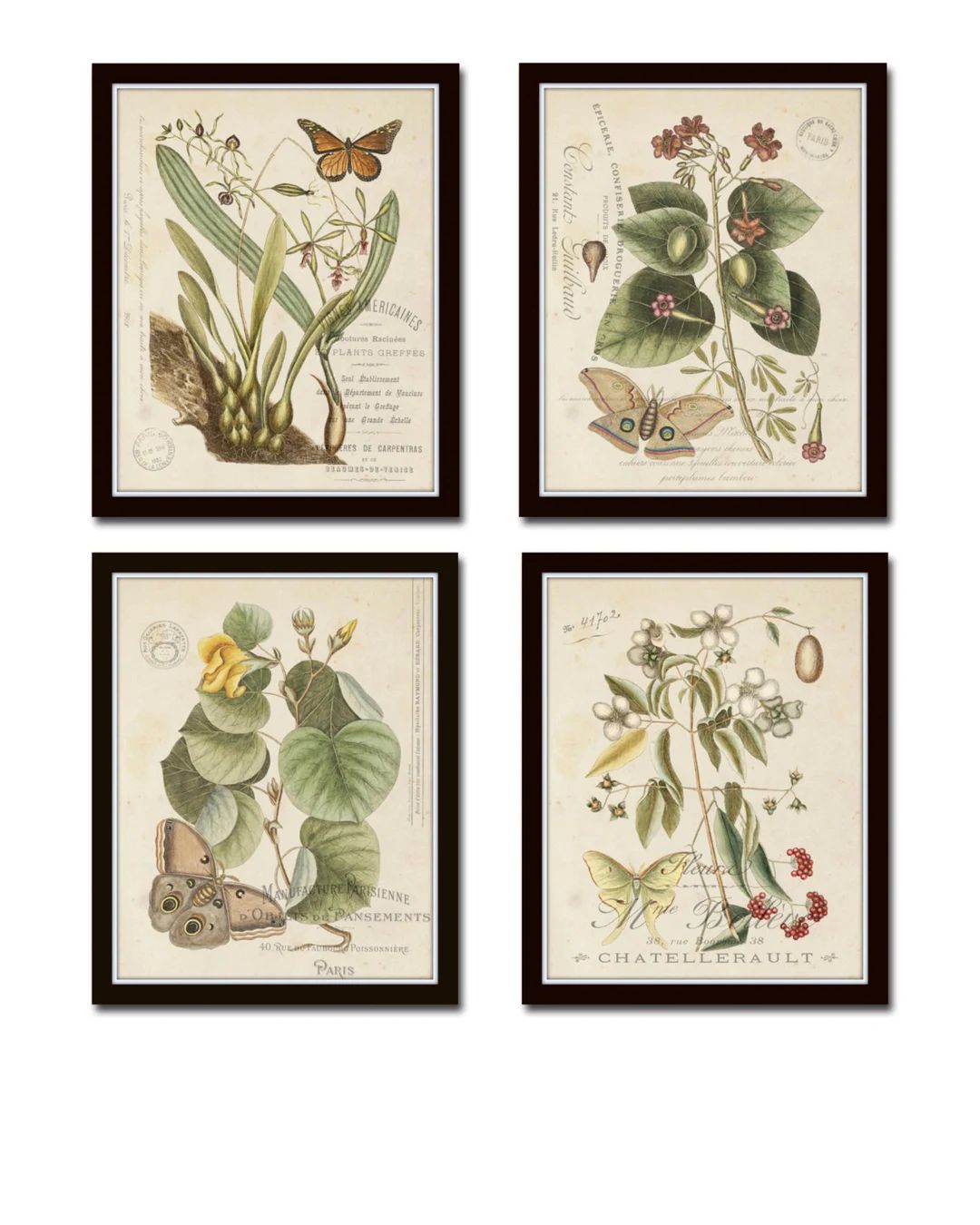 Vintage Butterfly and Botanical Collage Print Set No.1, Giclee, Prints, Botanical Prints, Wall Ar... | Etsy (US)