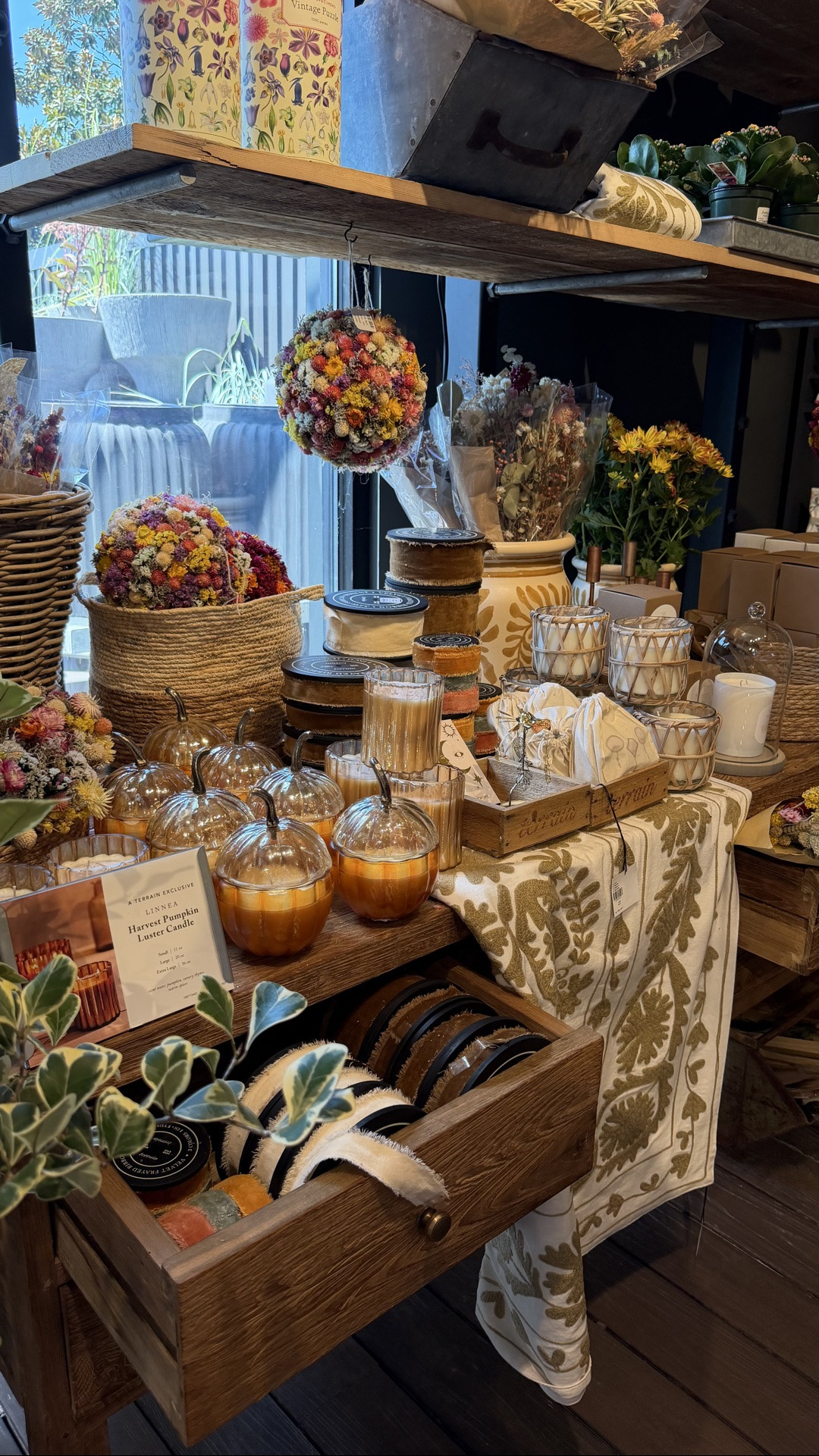 The Fall + Halloween Shop is out now at Anthropologie’s Terrain store! Shop stunning decor, candles, hosting essentials & more for the season! All available at in-store locations + online! 

Anthropologie home decor || fall decor || Halloween decor || seasonal decor || home finds

#LTKHome #LTKSeasonal