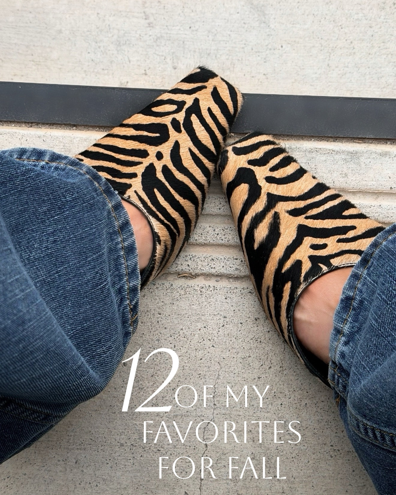 Fall Edit: 12 fall finds I’m texting my friends about.