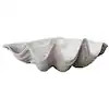 House Parts Clam Shell: South Pacific 4492-1-1-01-01-73 | The Home Depot