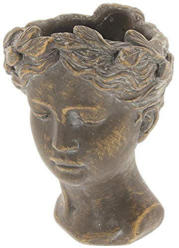 Lucky Winner Greek/Roman Style Female Statue Head Cement Planter - Unique Planter Pot for Indoor Outdoor Home Garden Decor (8") | Amazon (US)