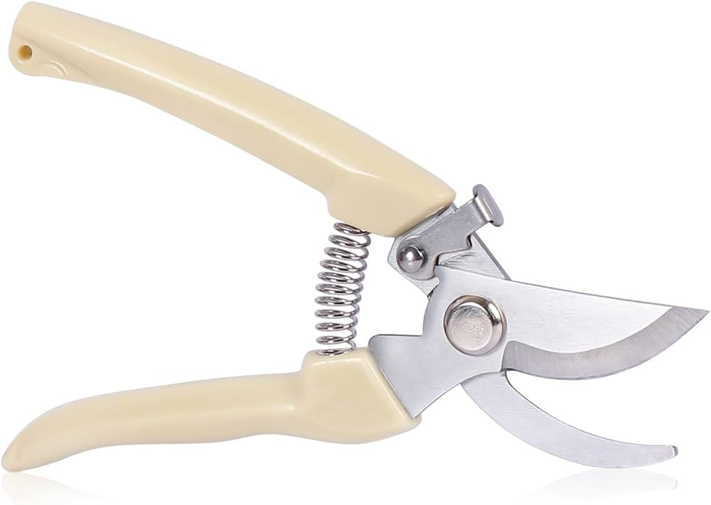 Garden Scissors for Plant, Tip Pruning Shears for Cutting Flowers, Trimming Plants, Bonsai and Fr... | Amazon (US)