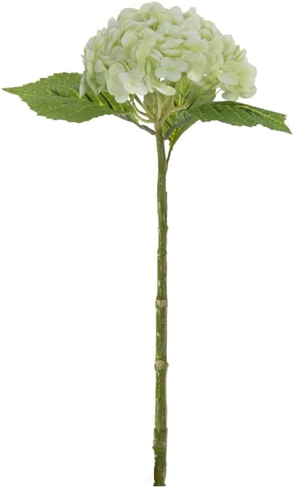 Limelight Hydrangea Stems – Pack of 3 – by Alice Lane Home Collection – Silk Flowers – Fu... | Amazon (US)