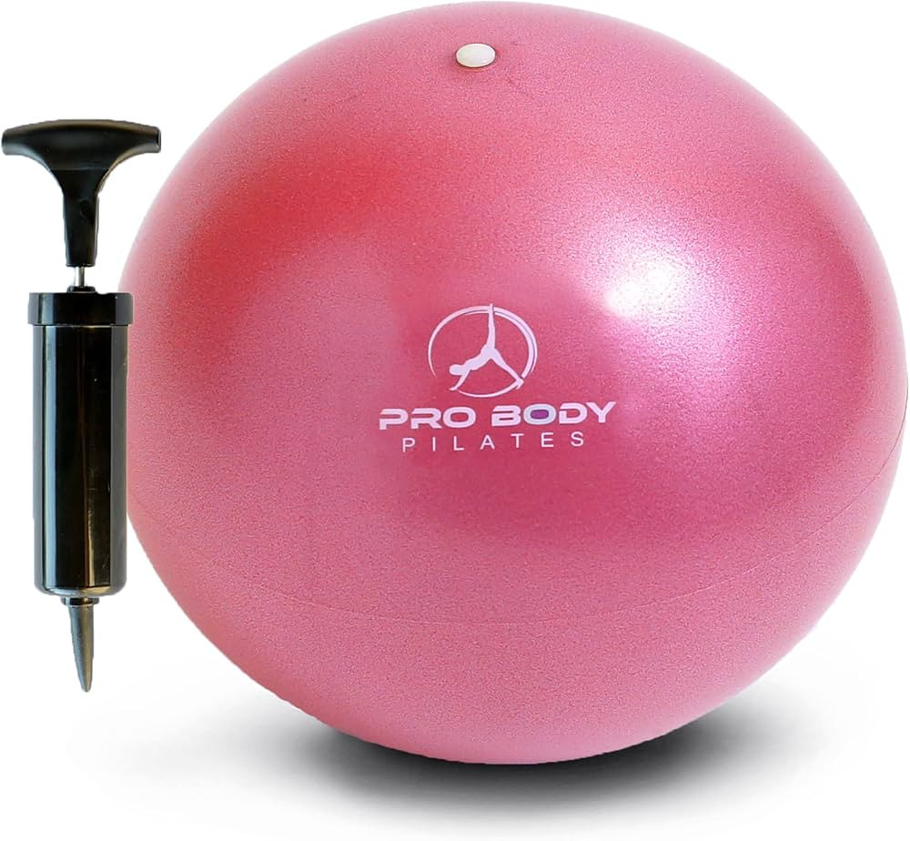 ProBody Pilates Ball Small Exercise Ball w/Pump, 9 Inch Barre Ball, Mini Soft Yoga Ball, Workout ... | Amazon (US)
