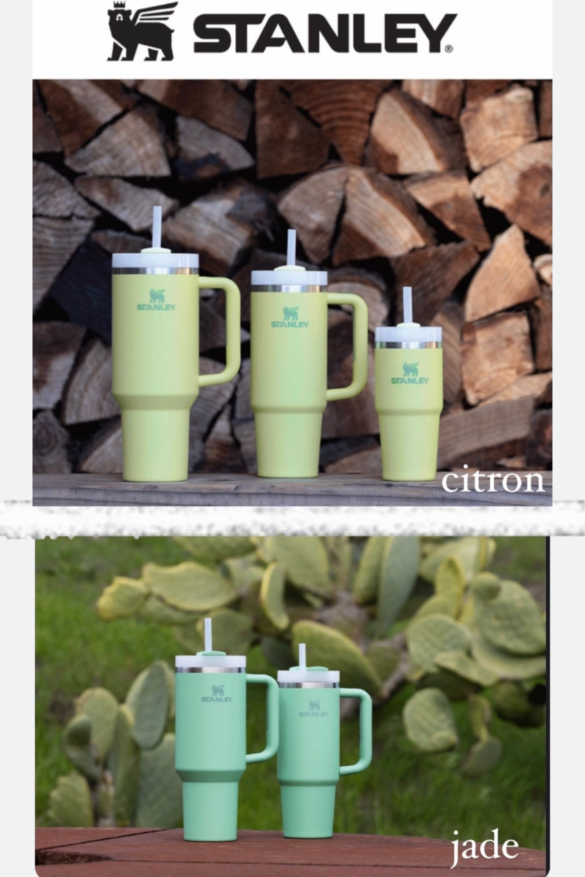 Mark your calendars for Stanley’s Spring color release!  The Citron & Jade will be available on 3/13 and I’m pretty sure they’ll go quick!  Which color do you like best?

#LTKSeasonal #LTKunder50 #LTKworkwear