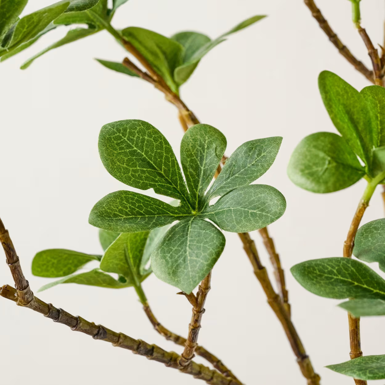 Oversized Green Leaf Branch | Magnolia