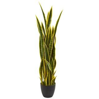 4ft. Potted Snake Plant | Michaels Stores