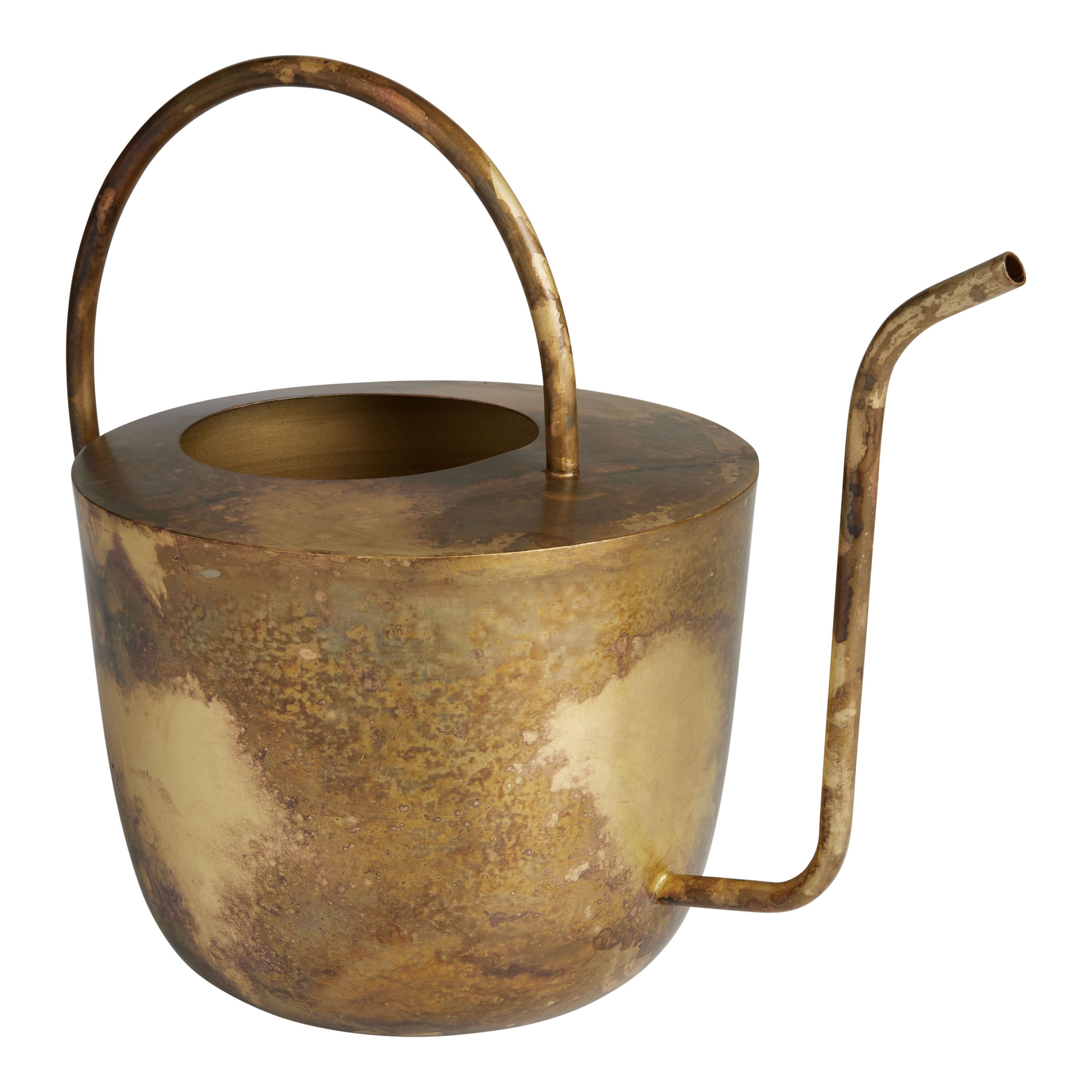 Burnished Antique Gold Watering Can | World Market