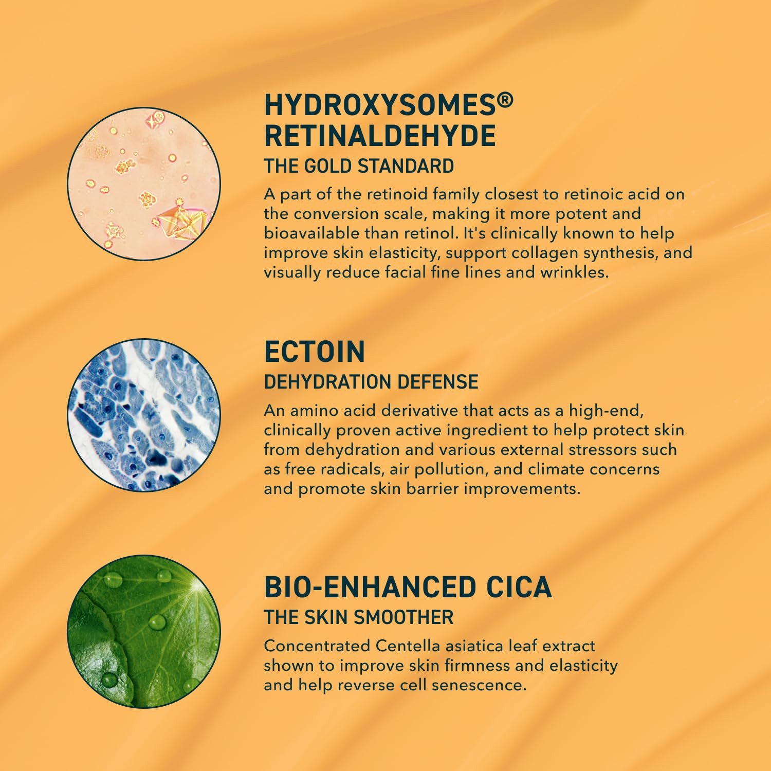 Prequel Skin Retinal Renew – 0.2% Retinaldehyde Gel with Ectoin, Cica & Jojoba Oil – Smooths ... | Amazon (US)