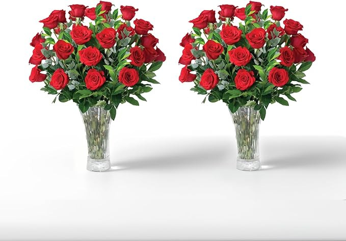 Aquarossa Farms - 48 Red Roses Bouquet, Fresh Flowers for Delivery, Special Gifts for Birthday an... | Amazon (US)