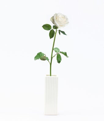 Single White Rose | From You Flowers