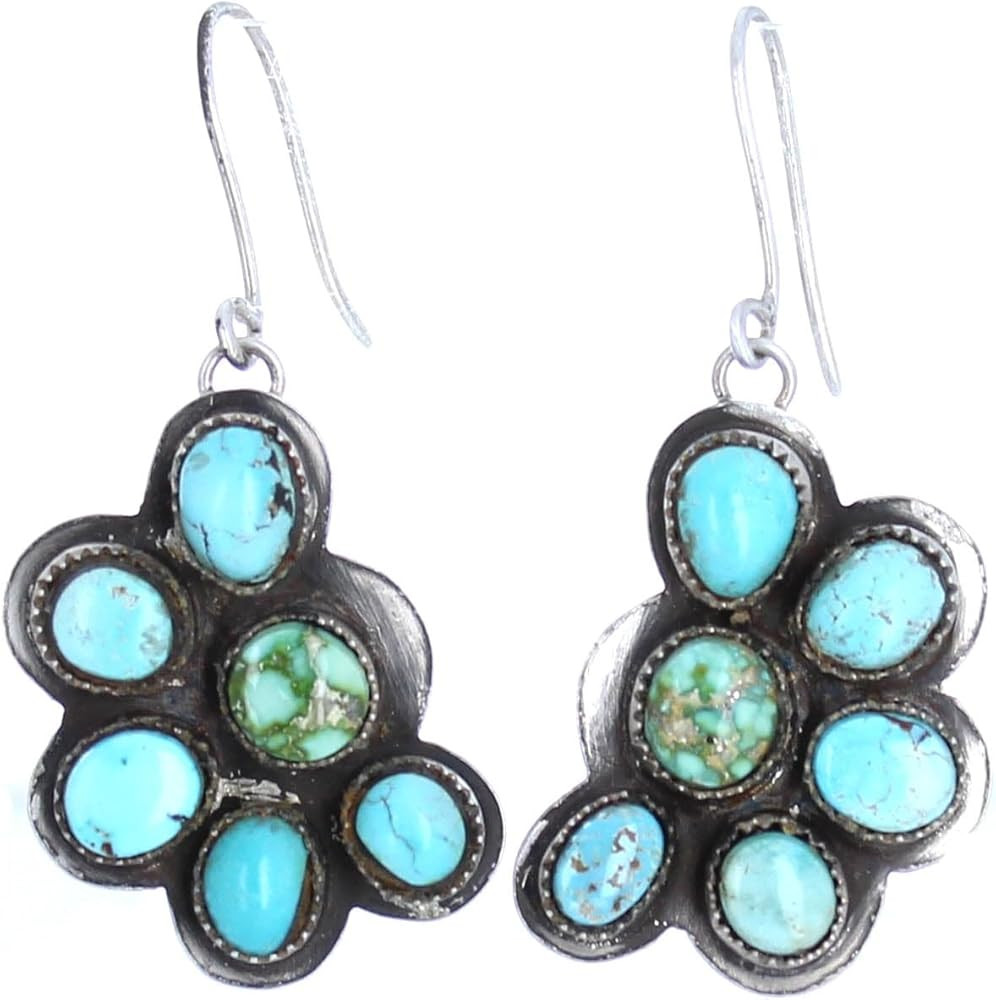 Dry Creek Turquoise Earrings Sterling 6-Stone Charmers | Amazon (US)