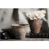 Set Of 2 Antique French Terracotta Resin Pots. Pine Collecting Rustic Country Brocante Decor | Etsy (US)