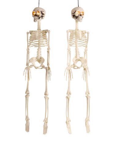 2pc 32in Led Hanging Skeletons | TJ Maxx