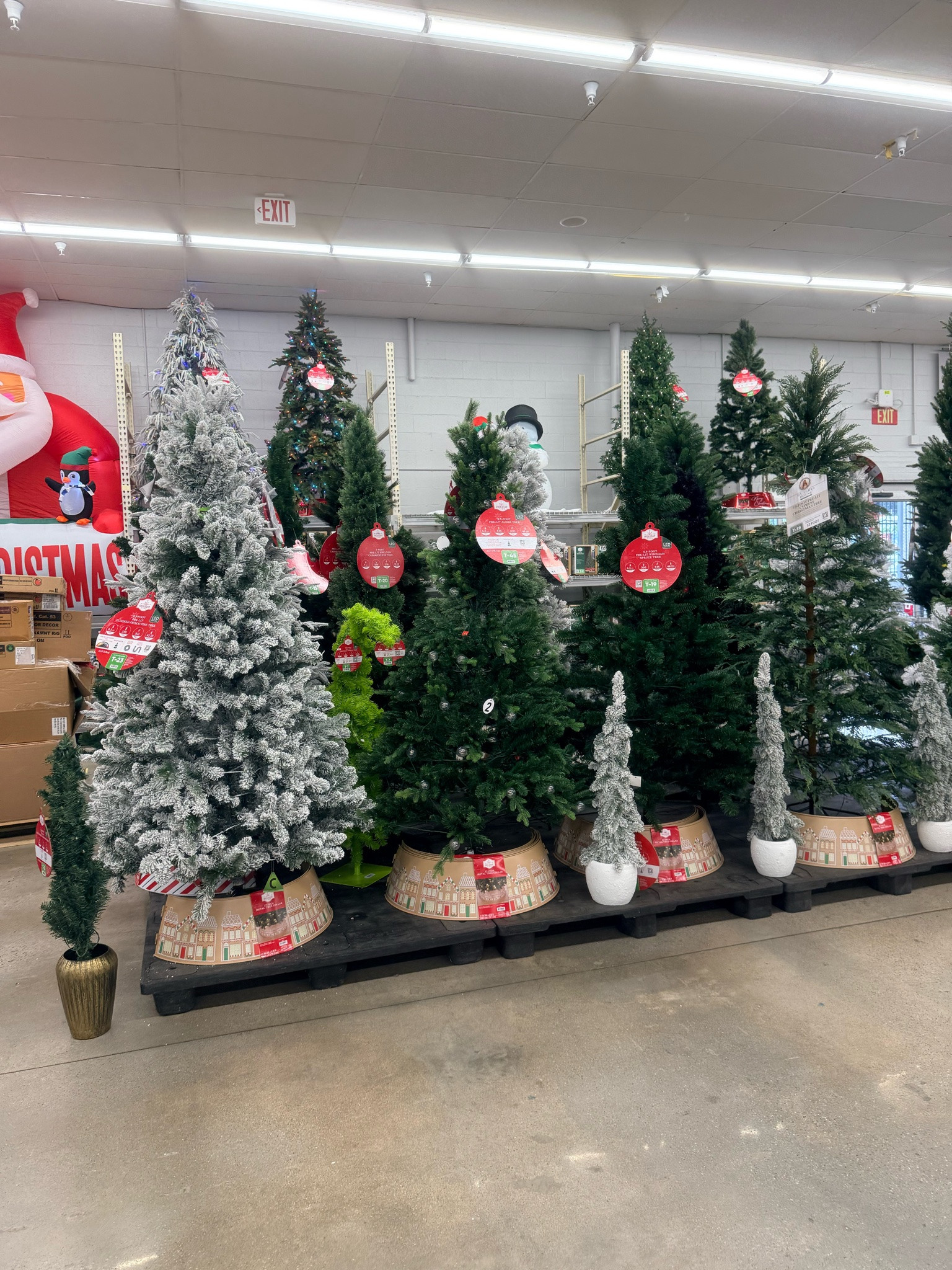 OKAYYYY, THE VIRAL CHRISTMAS TREE IS BACK! 🎄🎅🏽🔥

This is one of those Christmas finds that had EVERYBODY talking and now it’s back for another holiday season! I WANT IT AGAIN! 😍

🛍️ SHOP THE VIRAL CHRISTMAS TREE ON MY LTK!

#ChristmasTree #ChristmasFinds #HolidayDecor #LTKFinds