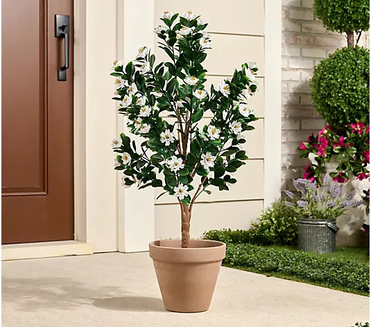 Wicker Park 3' Faux Gardenia Tree | QVC