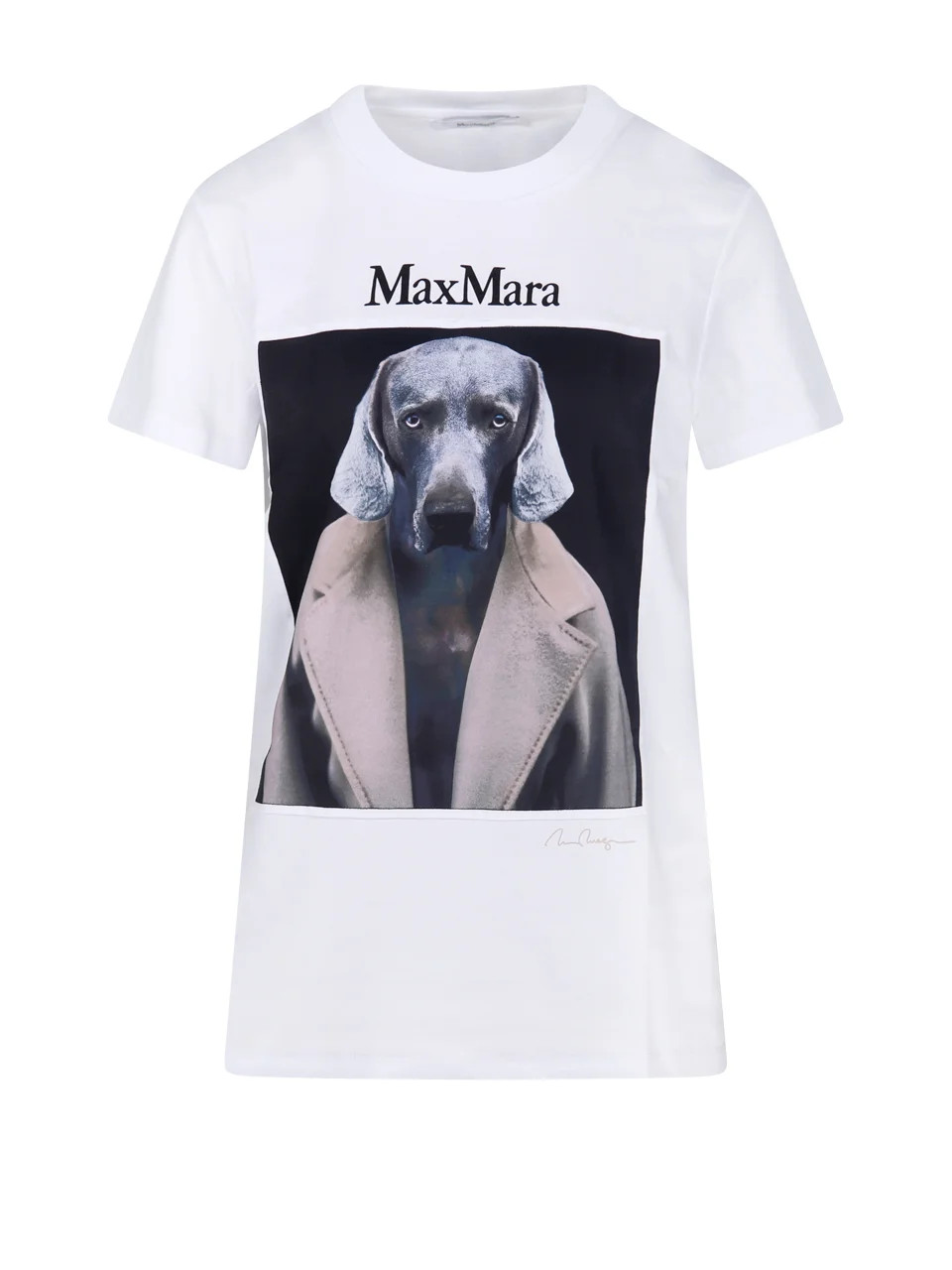 Max Mara Graphic Printed Crewneck T-Shirt | Cettire Global