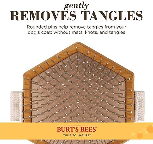 Palm Detangling Brush | Amazon (US)