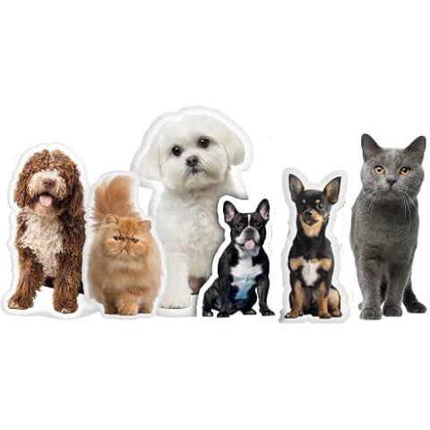 Custom Pet Shaped Pillows, Personalized Funny Pillow with Pet/Picture/People, Double Side 3D Prin... | Amazon (US)