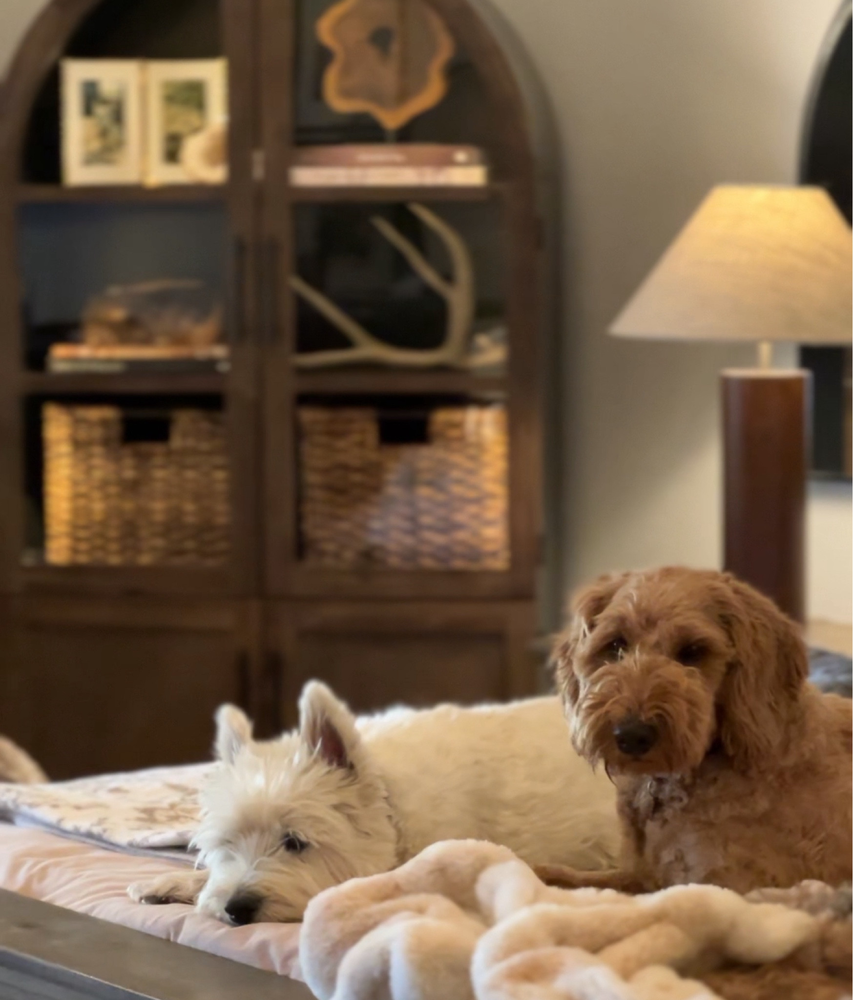 Master bedroom details 

#LTKSeasonal #LTKSaleAlert #LTKHome