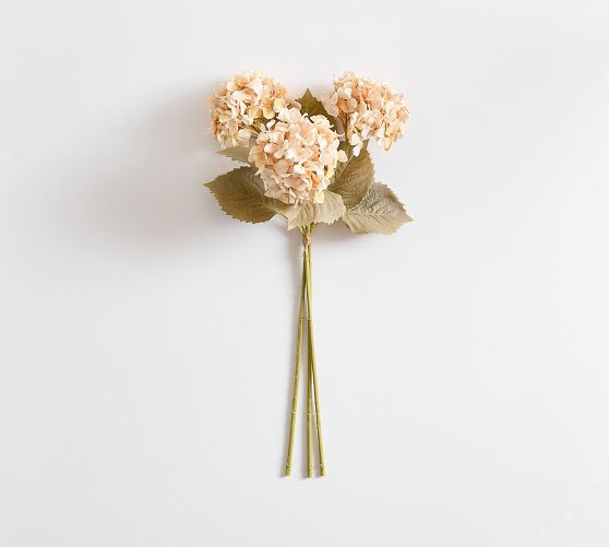 Faux Cream Hydrangea Bundle | Pottery Barn (US)