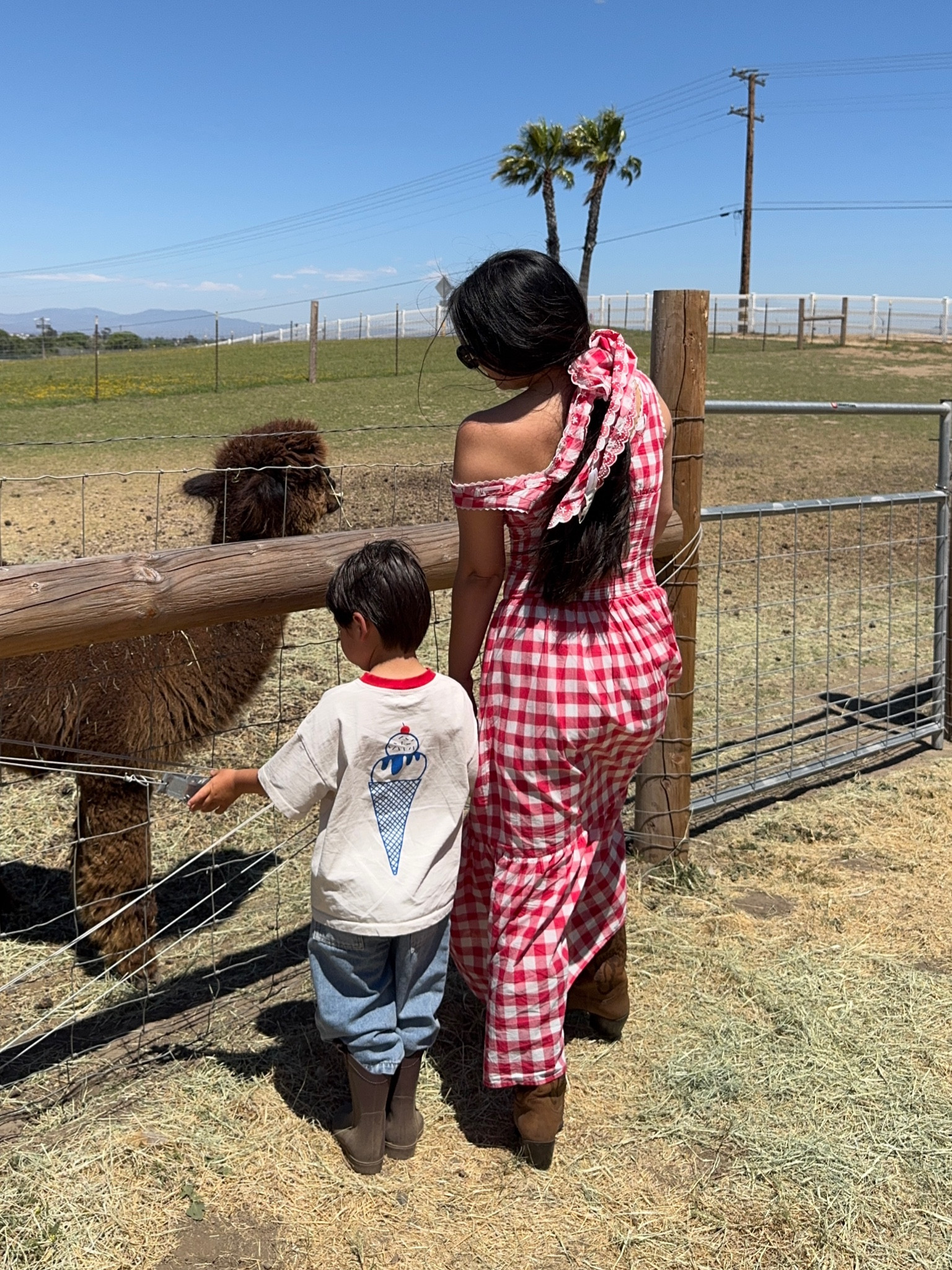 Frankie’s Bikini’s gingham maxi dress 

#LTKStyleTip #LTKPetite #LTKFamily