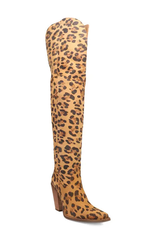 Dingo Diva Over the Knee Boot in Leopard at Nordstrom, Size 6 | Nordstrom