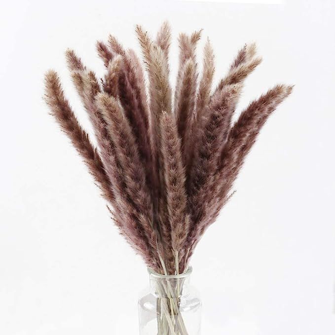 XIAOHONG Dried Pampas Grass Plumes 30pcs 17 Inch Natural Dried Flowers Arrangements Dry Pampas Gr... | Amazon (US)