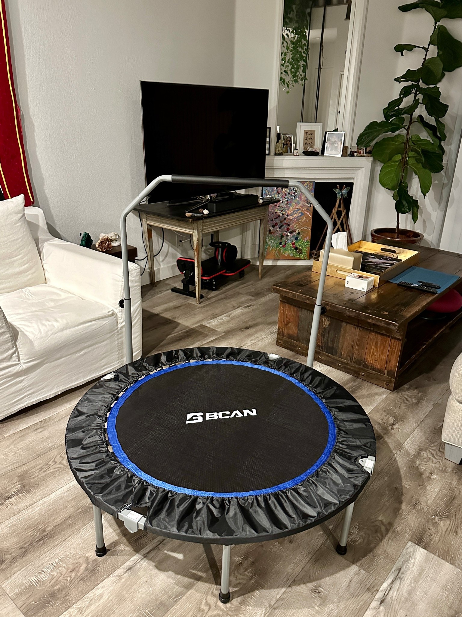 My house has fitness equipment in it in every single room! This was one of the most fun gifts I have ever received!  I wanted to show you what my mini trampoline/rebounder looks like so you can get an idea of how much space it’ll take up. It’s super easy to assemble and you don’t have to assemble it with the handle bar if you prefer. I actually took my handlebar off so that when I’m not using my trampoline, I can turn it up on its side and store it away easily.🤸🏻‍♀️

Jump on this rebounder for three minutes and watch your mood go from flat to happy super quick! 😄

#LTKHome #LTKActive #LTKFindsUnder100