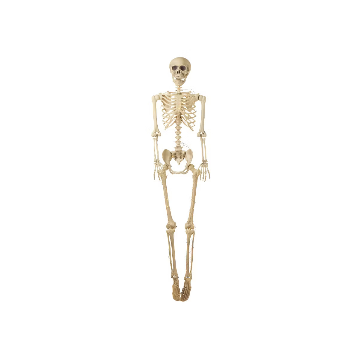 The Lakeside Collection Lighted Poseable Skeletons - 65" | Target