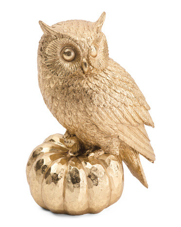 10in Owl On Pumpkin Statue | Fall Decor | Marshalls | Marshalls